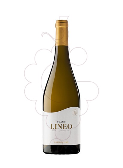 Photo Lineo vin blanc