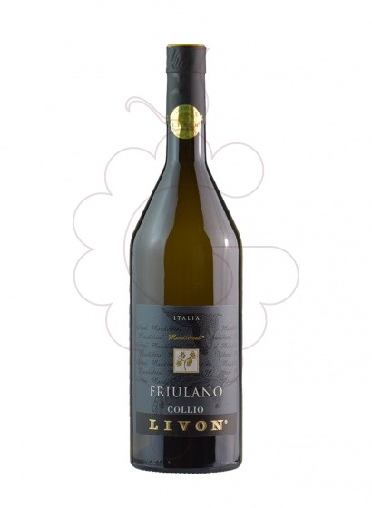 Photo Livon Friulano Collio vin blanc