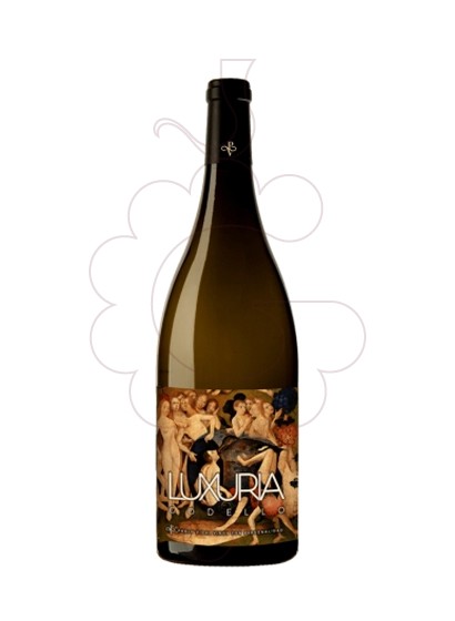 Photo Luxuria Magnum vin blanc