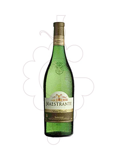 Photo Maestrante (Barbadillo) vin blanc