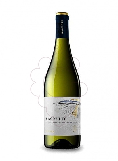 Photo Magnetic Blanc vin blanc