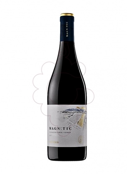 Photo Magnetic Negre vin rouge