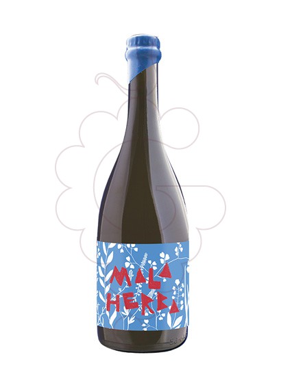 Photo Mala Herba Ancestral vin mousseux
