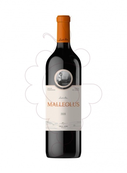 Photo Malleolus  vin rouge