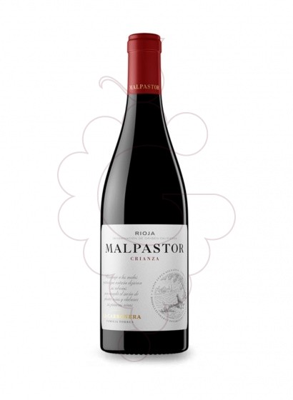 Photo Malpastor Crianza vin rouge