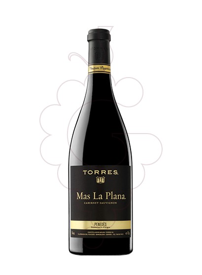 Photo Torres Mas la Plana vin rouge