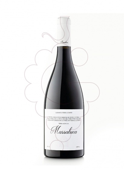 Photo Massaluca Rouge Magnum vin rouge