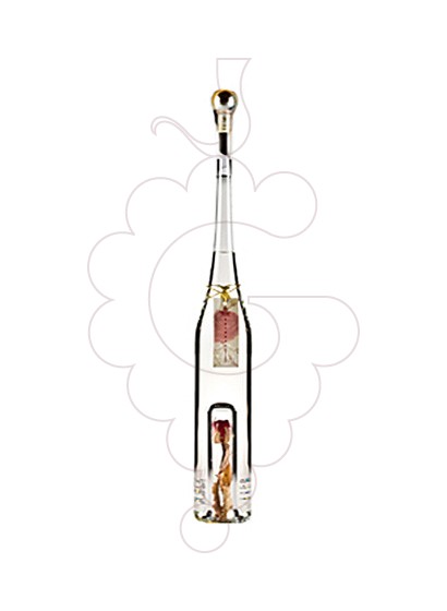 Photo Grappa Mazzetti di Barbera (Rosa)