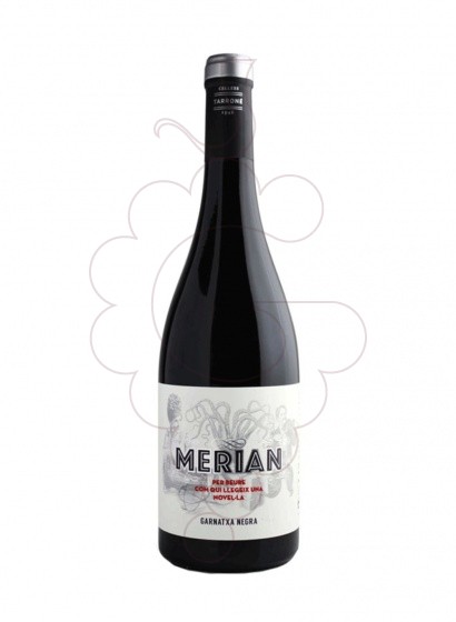 Photo Merian Negre vin rouge