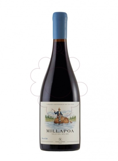 Photo Millapoa Torres Chile vin rouge