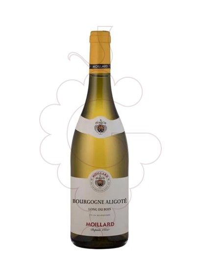 Photo Moillard Bourgogne Aligoté vin blanc