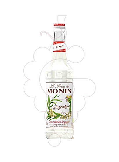 Photo Sirops Monin Gingembre (s/alcohol)