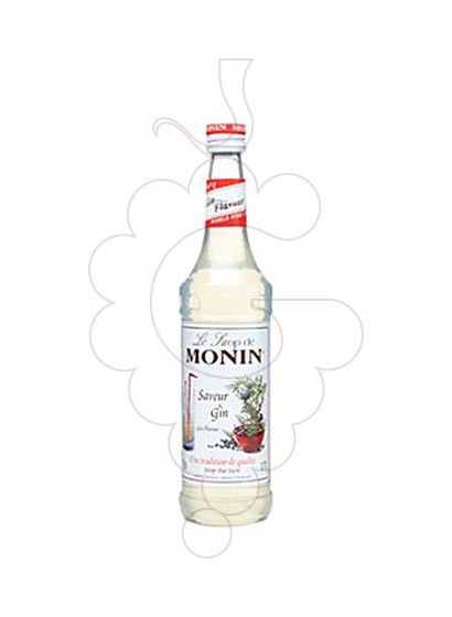 Photo Sirops Monin Saveur Gin (s/alcohol)