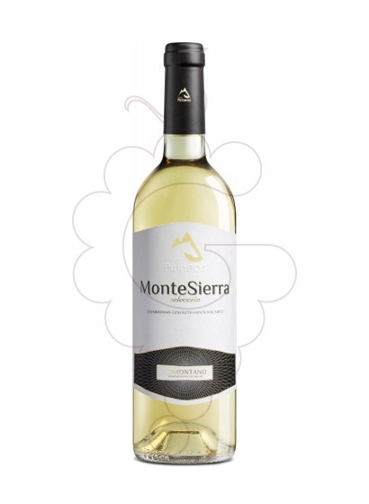 Photo Montesierra Blanc vin blanc