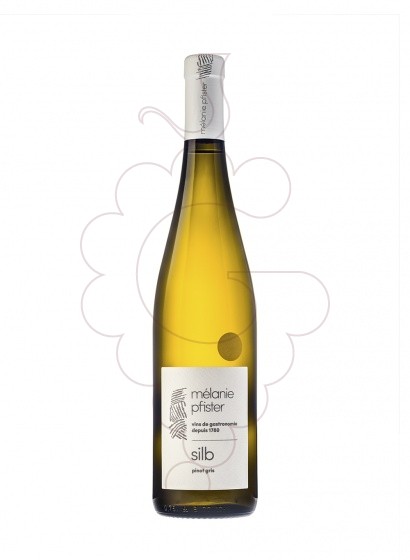 Photo Mélanie Pfister Silb Pinot Gris vin blanc