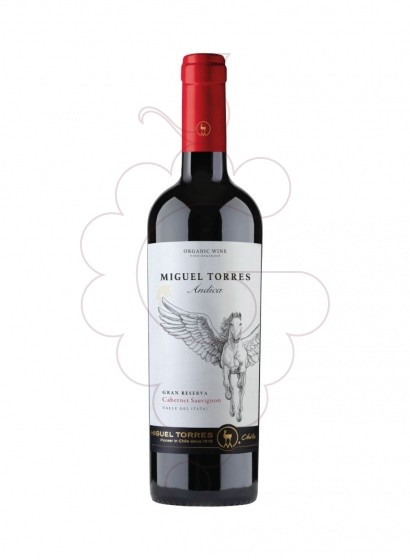 Photo Miguel Torres Andica Carmenere vin rouge