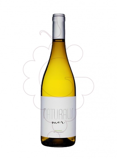 Photo Naturalis Mer Blanc vin blanc