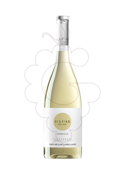 Photo O Luar do Sil Godello Magnum vin blanc