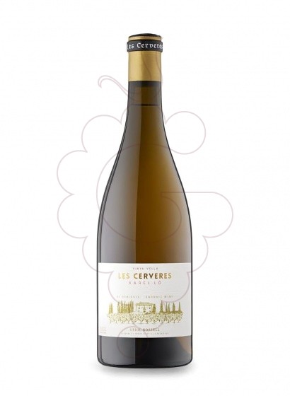 Photo Oriol Rossell Cerveres BL Xare vin blanc