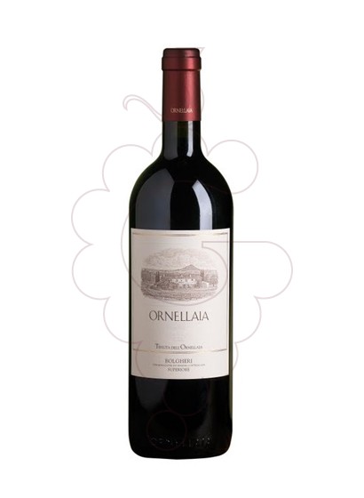 Photo Ornellaia Magnum vin rouge