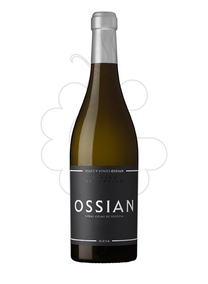 Photo Ossian vin blanc