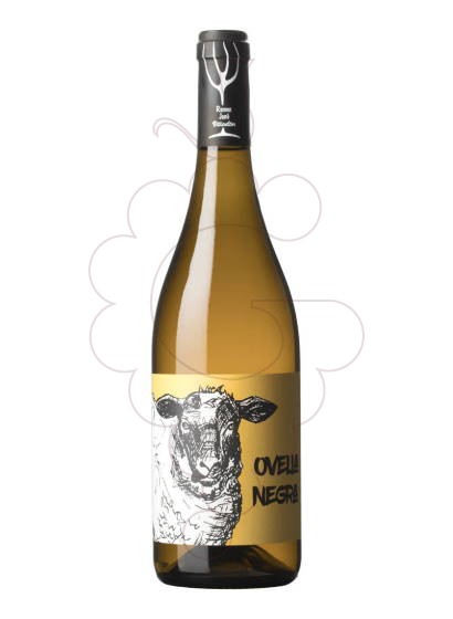Photo Mas Candí Ovella Negra vin blanc