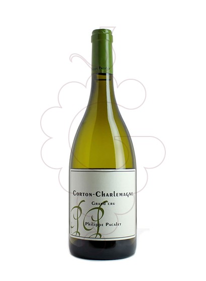 Photo Pacalet Corton-Charlemagne Grand Cru vin blanc