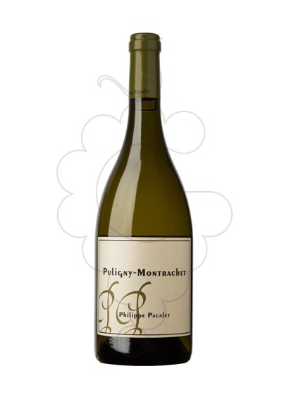 Photo Pacalet Puligny-Montrachet vin blanc