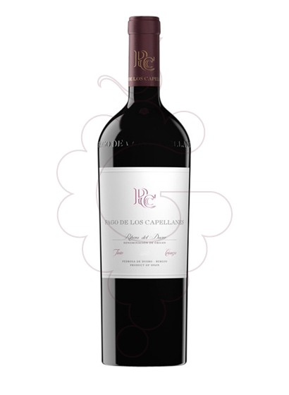 Photo Pago de Capellanes Crianza Réhoboam vin rouge