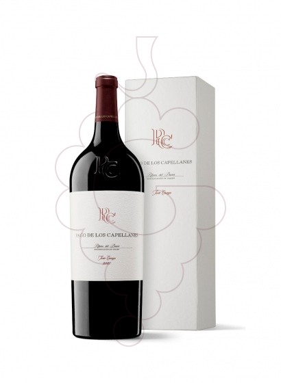Photo Pago de Capellanes Crianza Magnum vin rouge