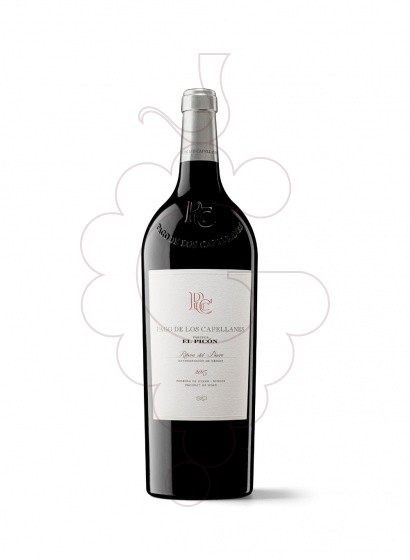 Photo Pago de Capellanes Picon Magnum vin rouge