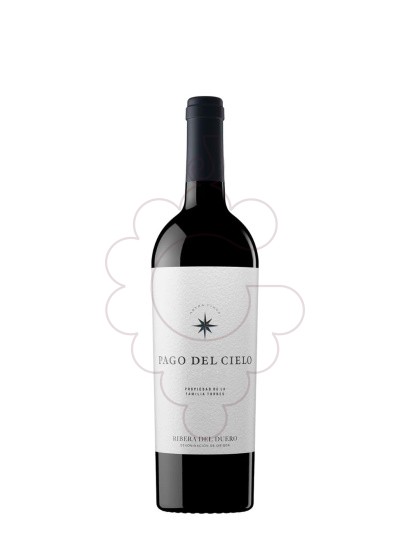 Photo Pago del cielo 2019 75 cl vin rouge