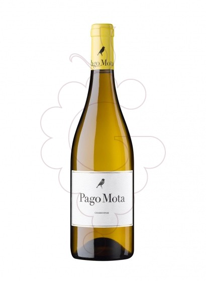 Photo Pago Mota Chardonnay vin blanc