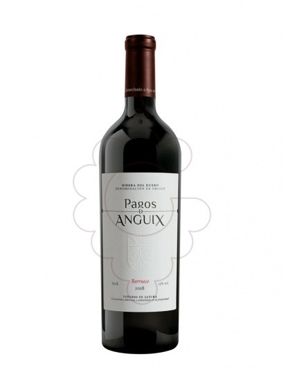 Photo Pagos de Anguix Barrueco vin rouge