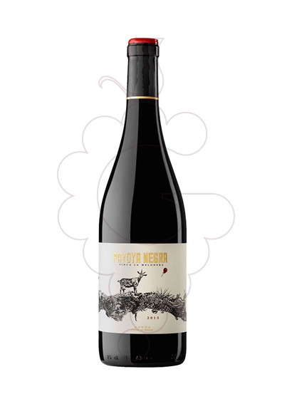 Photo Payoya vin rouge