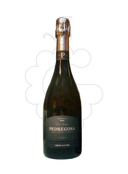 Photo Pedregosa Gran Cuvée vin mousseux