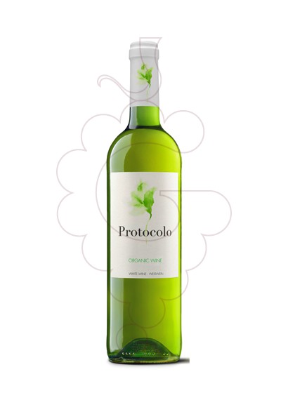 Photo Protocolo Blanc Organic vin blanc