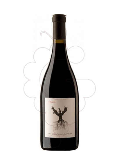 Photo PSI Magnum vin rouge