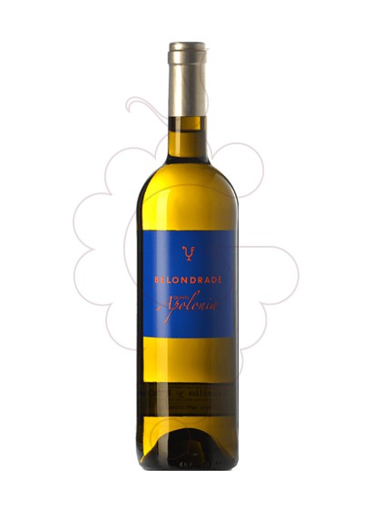 Photo Belondrade Apolonia vin blanc