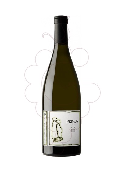 Photo Quinta da Pellada Primus vin blanc