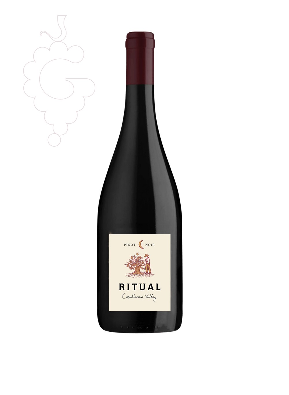 Photo Ritual Pinot Noir vin rouge