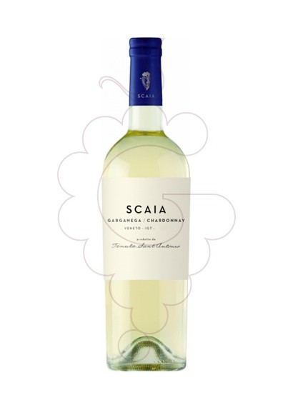 Photo Scaia vin blanc