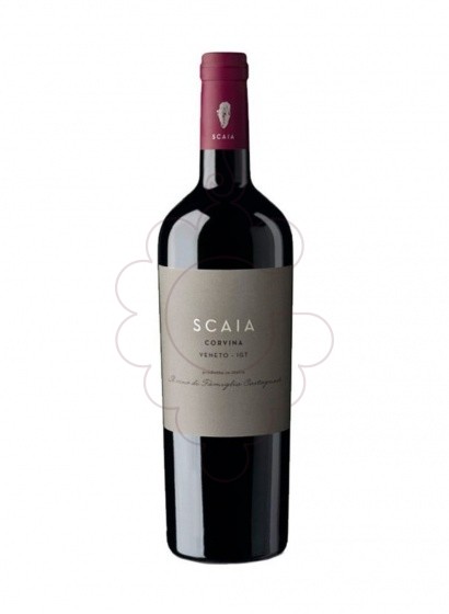 Photo Scaia Corvina Negre 2021 vin rouge