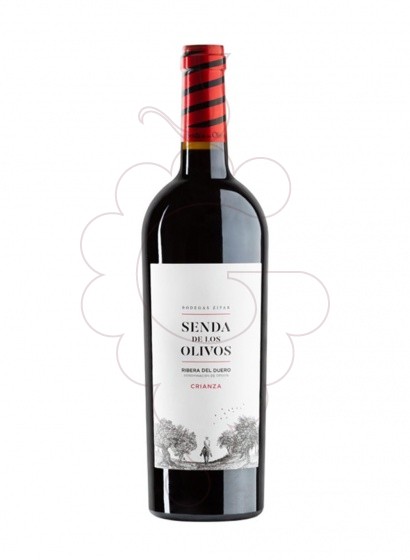 Photo Senda de los olivos cr. 2019 vin rouge