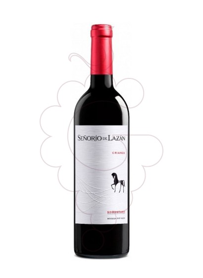 Photo Señorío de Lazán Crianza vin rouge