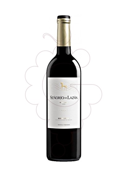 Photo Señorío de Lazán Reserva Magnum vin rouge