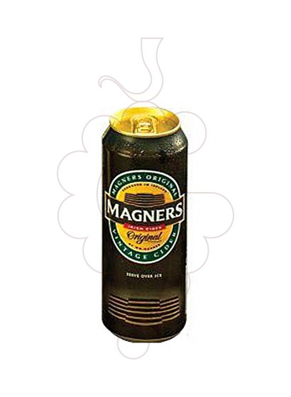 Photo Cidre Magners can