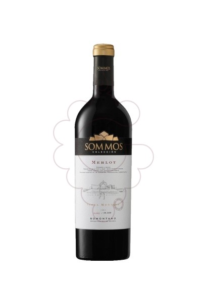 Photo Sommos Colección Merlot vin rouge