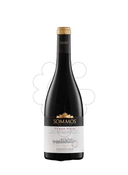 Photo Sommos Colección Pinot Noir vin rouge