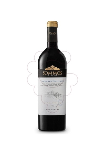 Photo Sommos Colección Sauvignon Blanc vin blanc